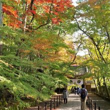 ２０１５年１１月２１日