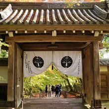 ２０１５年１１月２１日