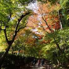 ２０１５年１１月２１日