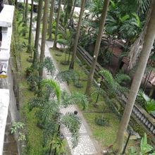 庭もなかなか良い感じです。