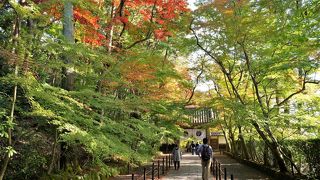 秋、長岡京へ来たならぜひ訪れたい場所