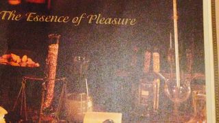 落ち着いたいい雰囲気