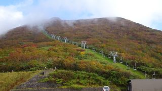 紅葉がきれいでした。
