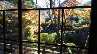 モミジが有名だけあってきれい