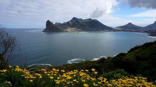 チャップマンズピークドライブからの眺めが素晴らしい。