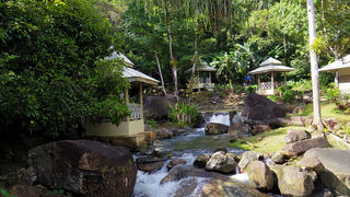 ドゥリアン ペランギン滝