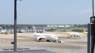 飛行機好きにはたまらない