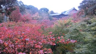 この上からながめる紅葉も見ごと