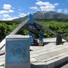 利尻富士の展望