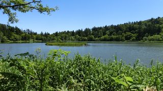 逆さ富士は見えなかったけど、いい天気で1周が気持ちが良かった。