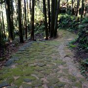 熊野古道 松本峠の石畳