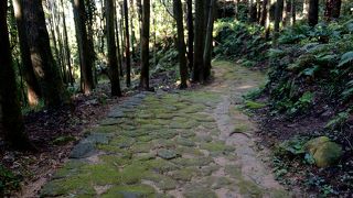 熊野古道 松本峠の石畳