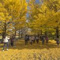 季節ごとに色んな植物を楽しめる