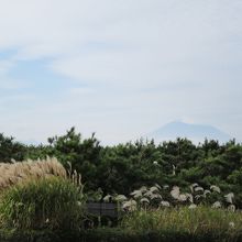遠くにかすかに雪をかぶった富士山