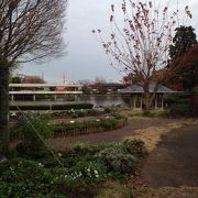 水あり、芝生あり、パノラマありの公園です。