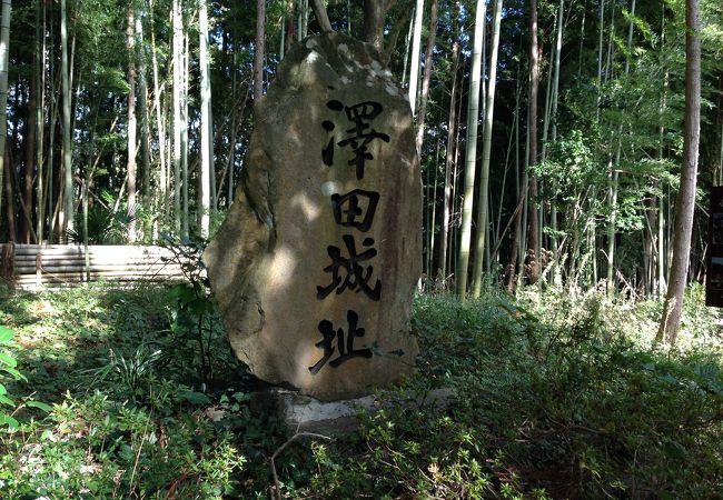 城跡めぐり:沢田城跡