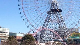 一日中楽しめます