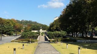 早朝の散歩に行きました