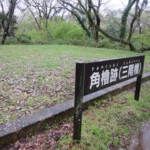 佐倉城跡三階櫓