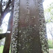 正岡子規の句碑