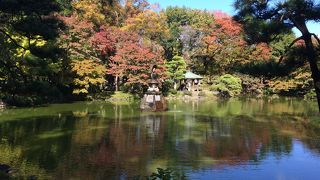 供出されなくて良かった