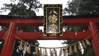 大崎八幡宮の社殿は、荘厳な国宝建築