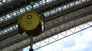 広ーい空間でのんびししています