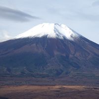 新雪の富士