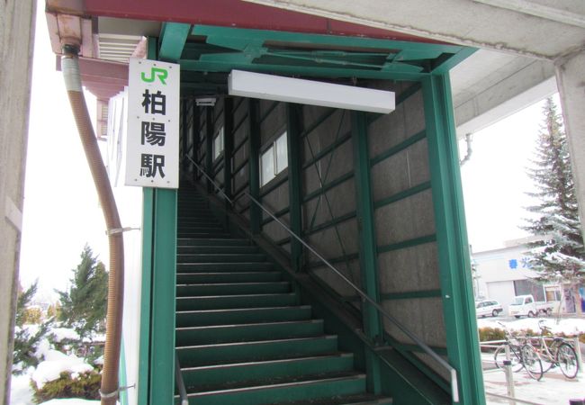 柏陽駅