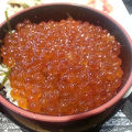 朝からガッツリイクラ丼