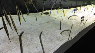 もう少し安ければ…