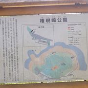別府地獄・クロスの海・都井岬　(74)　権現崎公園（ごんげんざき　こうえん）を散策