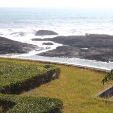 日向サンパークで撮影