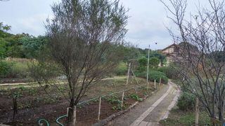 値段が変わります