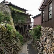 猫がいっぱいのアートの島