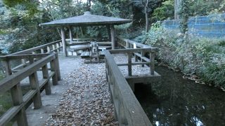 湧き水が生む憩いの場
