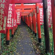 赤い鳥居が続く