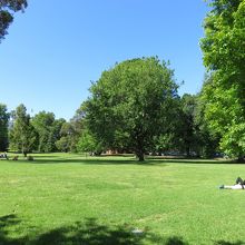 芝生が広がって気持ちがいいです