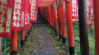 赤い鳥居が続く