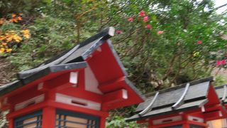 市内中心部よりだいぶ早く見頃が来ます