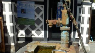 信州松本市内は湧水があちこちにある