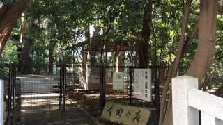 源平合戦の舞台、神戸のパワースポット