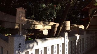 地中に埋まった鳥居