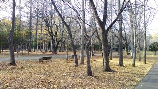 北海道らしい大きな公園