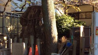 現在は、工事中のため見れません。