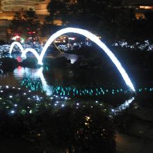 ちょっとボケているようですね