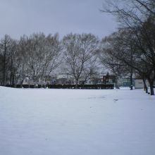 雪景色の公園