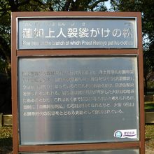 通路近くの看板