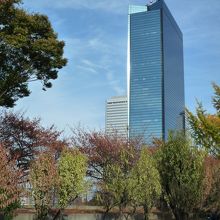 高層ビルと不思議にマッチ