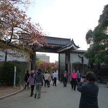 大阪城桜門